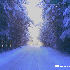 images/Desktop/winter_chiemgau5.jpg